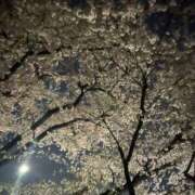 ヒメ日記 2026/04/02 21:46 投稿 あみか 藤沢人妻城