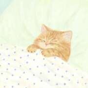 ヒメ日記 2025/11/04 17:39 投稿 しろ スパーク日本橋