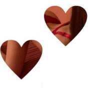 ヒメ日記 2025/10/17 13:00 投稿 立川　こあ 雫(しずく)