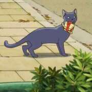 ヒメ日記 2025/10/22 16:18 投稿 立川　こあ 雫(しずく)