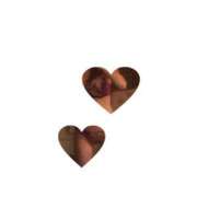 ヒメ日記 2025/10/23 09:42 投稿 立川　こあ 雫(しずく)