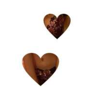 ヒメ日記 2025/10/23 10:33 投稿 立川　こあ 雫(しずく)