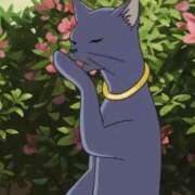 ヒメ日記 2025/10/29 10:49 投稿 立川　こあ 雫(しずく)