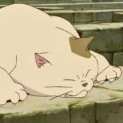 ヒメ日記 2025/10/31 07:57 投稿 立川　こあ 雫(しずく)