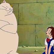 ヒメ日記 2025/11/09 19:19 投稿 立川　こあ 雫(しずく)