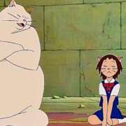 ヒメ日記 2025/11/14 19:06 投稿 立川　こあ 雫(しずく)