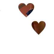 ヒメ日記 2025/12/10 13:36 投稿 立川　こあ 雫(しずく)