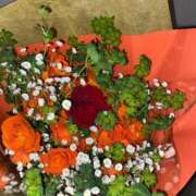 ヒメ日記 2026/01/15 23:19 投稿 立川　こあ 雫(しずく)