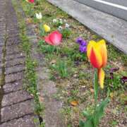 ちふゆ 今日は暖かいですね☺️ TSUBAKI(ツバキ)