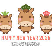 ヒメ日記 2026/01/01 23:25 投稿 すず(昭和58年生まれ) 熟年カップル名古屋～生電話からの営み～