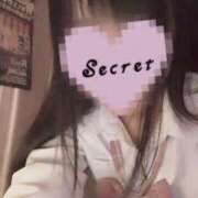 ヒメ日記 2025/11/14 19:47 投稿 すみれ あふたーすくーる