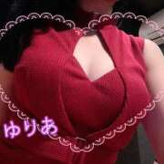 ヒメ日記 2025/11/19 12:49 投稿 ゆりあ アラカルト