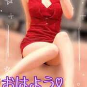 ヒメ日記 2025/11/20 09:22 投稿 ゆりあ アラカルト