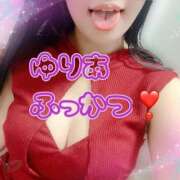 ヒメ日記 2025/12/08 06:30 投稿 ゆりあ アラカルト