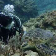 ヒメ日記 2025/11/26 20:51 投稿 澄原(すみはら) 熟女出逢い会 『百合の園』 五反田店