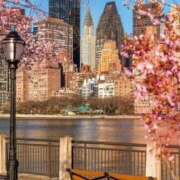 ヒメ日記 2026/03/18 13:52 投稿 綾川佳乃 五十路マダムエクスプレス横浜店（カサブランカグループ）