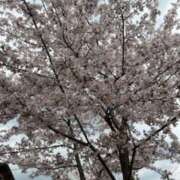 ヒメ日記 2026/04/04 21:28 投稿 綾川佳乃 五十路マダムエクスプレス横浜店（カサブランカグループ）