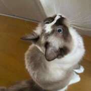 ヒメ日記 2025/11/18 18:35 投稿 美【ウツミ】 LOVEキタ兎我野店