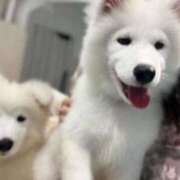 美【ウツミ】 完売です🔥 LOVEキタ兎我野店