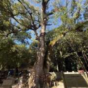 ヒメ日記 2025/12/20 12:03 投稿 美【ウツミ】 LOVEキタ兎我野店