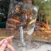 ヒメ日記 2026/01/06 10:42 投稿 美【ウツミ】 LOVEキタ兎我野店