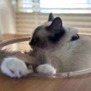 ヒメ日記 2026/01/10 17:49 投稿 美【ウツミ】 LOVEキタ兎我野店