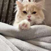 ヒメ日記 2026/03/10 12:32 投稿 美【ウツミ】 LOVEキタ兎我野店