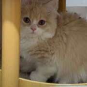 ヒメ日記 2026/03/14 12:43 投稿 美【ウツミ】 LOVEキタ兎我野店