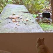 ヒメ日記 2026/03/18 12:43 投稿 美【ウツミ】 LOVEキタ兎我野店