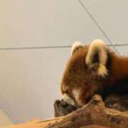 ヒメ日記 2026/04/11 14:53 投稿 美【ウツミ】 LOVEキタ兎我野店