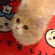 ヒメ日記 2026/05/01 18:32 投稿 美【ウツミ】 LOVEキタ兎我野店