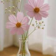 ヒメ日記 2025/10/24 07:20 投稿 しおり 所沢デリヘル桜