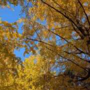 ヒメ日記 2025/11/26 13:35 投稿 しおり 所沢デリヘル桜