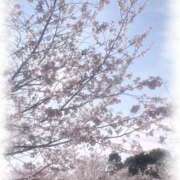 ヒメ日記 2026/04/02 21:04 投稿 ゆな clubさくら京橋店