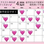 ヒメ日記 2026/04/07 19:14 投稿 ゆな clubさくら京橋店