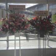 ヒメ日記 2025/11/17 15:30 投稿 りんご あふたーすくーる本店