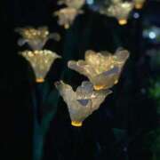 ヒメ日記 2025/12/27 10:10 投稿 りんご あふたーすくーる本店