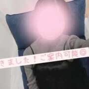 ヒメ日記 2025/10/25 00:56 投稿 あおい 新潟デリヘル倶楽部