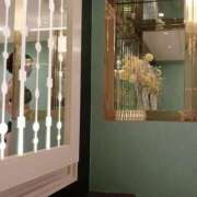 ヒメ日記 2025/11/07 13:56 投稿 あおい 新潟デリヘル倶楽部