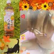 ヒメ日記 2026/10/04 20:29 投稿 えりな 千葉人妻セレブリティ（ユメオト）