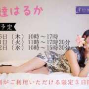 ヒメ日記 2025/10/16 07:15 投稿 安達 はるか SUMIRE