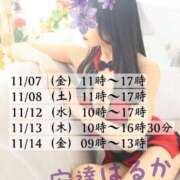 ヒメ日記 2025/11/02 17:16 投稿 安達 はるか SUMIRE