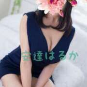 ヒメ日記 2025/11/07 10:07 投稿 安達 はるか SUMIRE