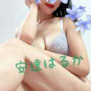 ヒメ日記 2025/11/07 20:37 投稿 安達 はるか SUMIRE