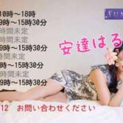 ヒメ日記 2026/01/15 21:33 投稿 安達 はるか SUMIRE