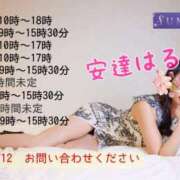 ヒメ日記 2026/01/22 08:15 投稿 安達 はるか SUMIRE