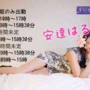 ヒメ日記 2026/01/27 09:47 投稿 安達 はるか SUMIRE