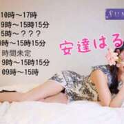 ヒメ日記 2026/01/30 07:30 投稿 安達 はるか SUMIRE