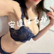 ヒメ日記 2026/02/11 16:45 投稿 安達 はるか SUMIRE