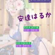 ヒメ日記 2026/04/04 12:15 投稿 安達 はるか SUMIRE